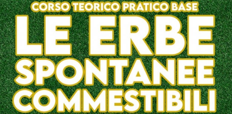 Corso gratuito esperenziale di erbe spontanee commestibili , aromatiche e spezie estive per una cucina fresca   , dimagrante , salutare ,gustosa ,  degustazione di prodotti bio